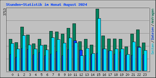 Stunden-Statistik im Monat August 2024