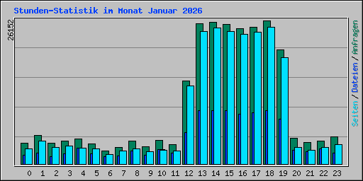 Stunden-Statistik im Monat Januar 2026