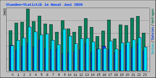 Stunden-Statistik im Monat Juni 2026