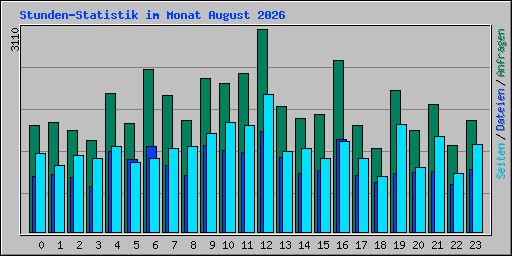 Stunden-Statistik im Monat August 2026